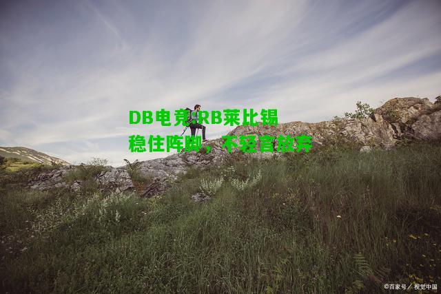 DB电竞:RB莱比锡稳住阵脚，不轻言放弃