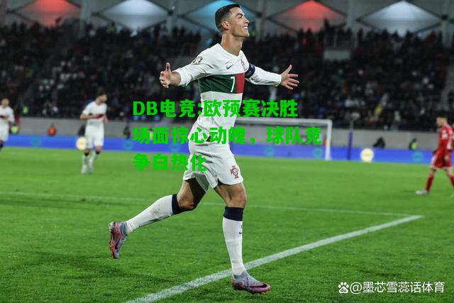 DB电竞:欧预赛决胜场面惊心动魄，球队竞争白热化