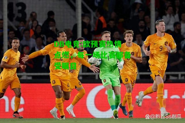 DB电竞:欧预赛热情点燃，每一场比赛都备受瞩目